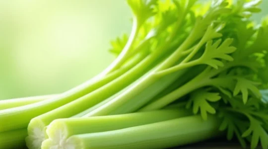 why-you-might-crave-celery